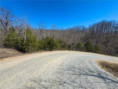 26 Acres with Lake View in Cardinal Cove. Great acreage for your - photo 19