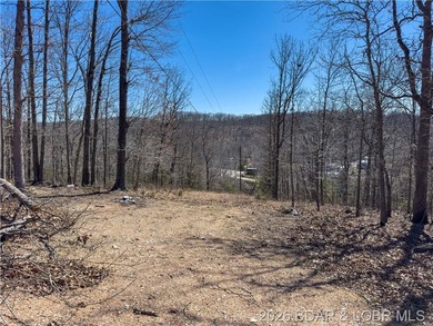 26 Acres with Lake View in Cardinal Cove. Great acreage for your - photo 20