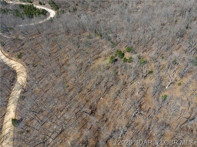 26 Acres with Lake View in Cardinal Cove. Great acreage for your - photo 21