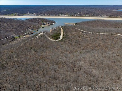26 Acres with Lake View in Cardinal Cove. Great acreage for your - photo 22