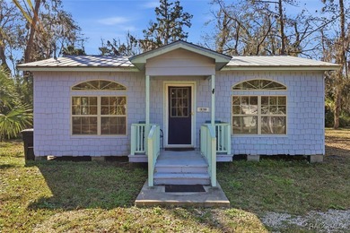 TWO FOR ONE! Set on a full acre in the heart of Old Homosassa - photo 2