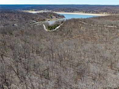 26 Acres with Lake View in Cardinal Cove. Great acreage for your - photo 23