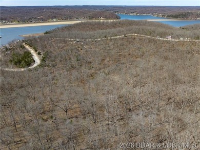 26 Acres with Lake View in Cardinal Cove. Great acreage for your - photo 24