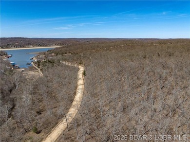 26 Acres with Lake View in Cardinal Cove. Great acreage for your - photo 25