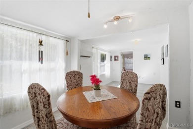 TWO FOR ONE! Set on a full acre in the heart of Old Homosassa - photo 5