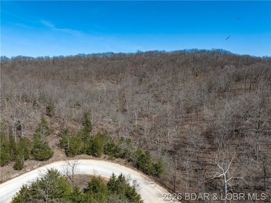26 Acres with Lake View in Cardinal Cove. Great acreage for your - photo 26
