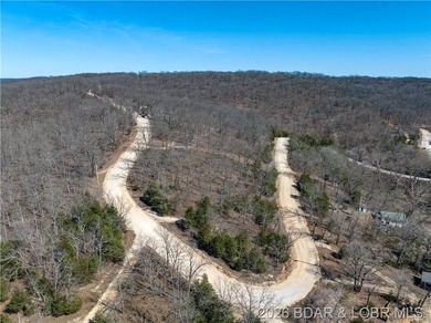 26 Acres with Lake View in Cardinal Cove. Great acreage for your - photo 28