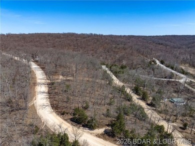 26 Acres with Lake View in Cardinal Cove. Great acreage for your - photo 29