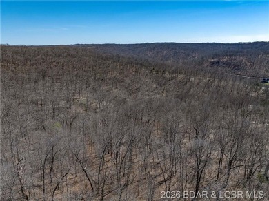 26 Acres with Lake View in Cardinal Cove. Great acreage for your - photo 30