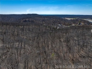 26 Acres with Lake View in Cardinal Cove. Great acreage for your - photo 31
