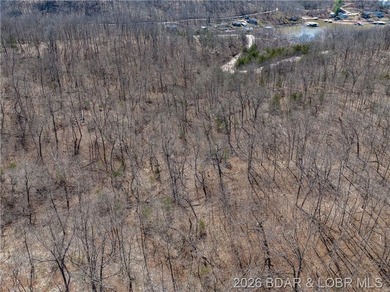 26 Acres with Lake View in Cardinal Cove. Great acreage for your - photo 32