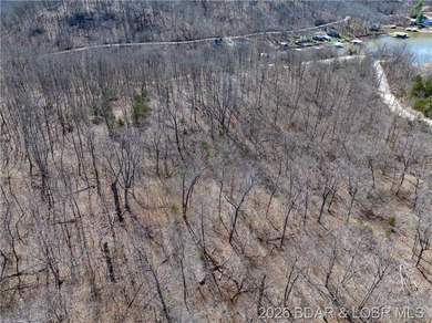 26 Acres with Lake View in Cardinal Cove. Great acreage for your - photo 33