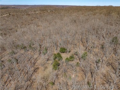26 Acres with Lake View in Cardinal Cove. Great acreage for your - photo 34