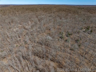 26 Acres with Lake View in Cardinal Cove. Great acreage for your - photo 35