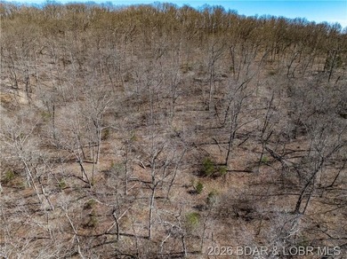 26 Acres with Lake View in Cardinal Cove. Great acreage for your - photo 36