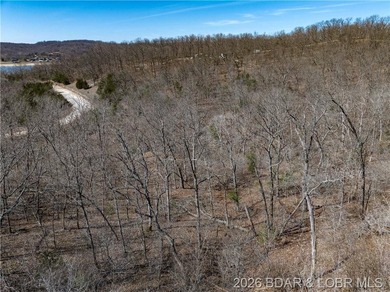 26 Acres with Lake View in Cardinal Cove. Great acreage for your - photo 37