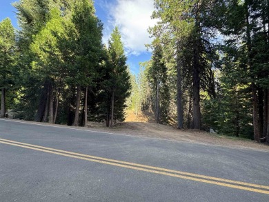 Lake Almanor Lot For Sale in Lake Almanor California