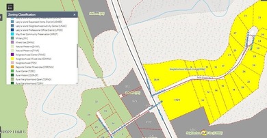 Extremely visible 1.3 acre lot on Highway 21 in Beaufort SC - photo 11