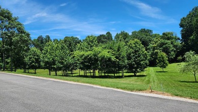 Discovery the perfect opportunity to build your dream home or - photo 15