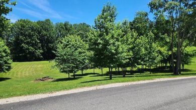 Discovery the perfect opportunity to build your dream home or - photo 16