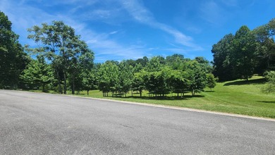 Discovery the perfect opportunity to build your dream home or - photo 18