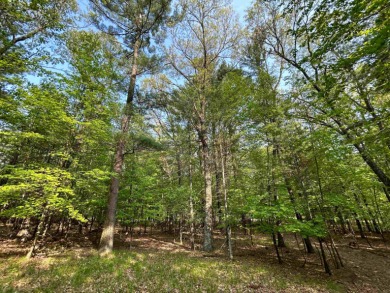 Lake Petenwell waterfront lot under $100k?! Gorgeous wooded lot - Lake Lot For Sale in Arkdale, Wisconsin
