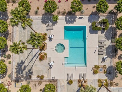 Hidden Gem of Palm Springs: A Mid-Century Modernist's Dream: - photo 48
