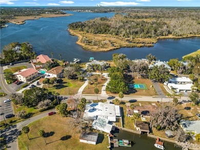 (private lake, pond, coastal) Home For Sale in Crystal River Florida
