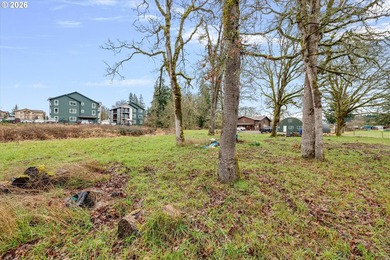 Enjoy 1.15 level acres with a creek running through it, right in - photo 7