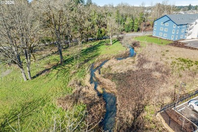 Enjoy 1.15 level acres with a creek running through it, right in - photo 8
