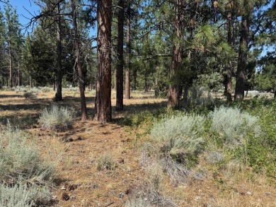 Lake Lot For Sale in Weed, California