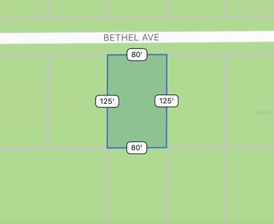 This spacious lot is located in the fast growing and sought out - photo 5