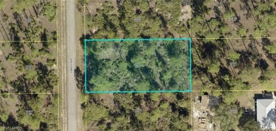 Lehigh Acres Area Lot For Sale in Lehigh Acres Florida