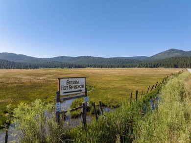 One of the Sierra Valley's best-kept secrets - a rare hot - photo 3