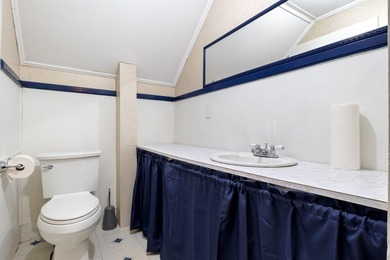 Built in the 1900's and full of character, this spacious - photo 36