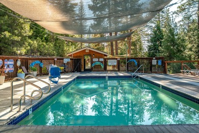 One of the Sierra Valley's best-kept secrets - a rare hot - photo 9