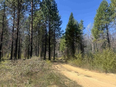 Lake Acreage For Sale in Greenville, California