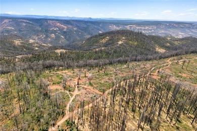 Spectacular mountain views, privacy, and endless possibilities - photo 2