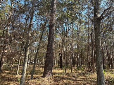 Walk to the beach from this beautifully treed homesite. High - photo 1