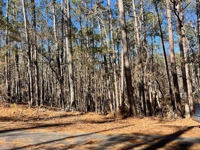 Strom Thurmond / Clarks Hill Lake Lot For Sale in Mccormick South Carolina