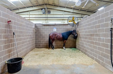 Nestled in the heart of Oak Point, Texas, Prestonwood Polo Club - photo 9