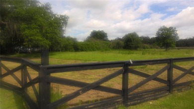 East Lake Tohopekaliga Acreage For Sale in Kissimmee Florida