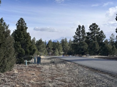 Don't miss this 1+ acre lot in Divide Ranch and Clubplete with a - photo 2