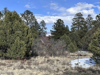 Don't miss this 1+ acre lot in Divide Ranch and Clubplete with a - photo 3