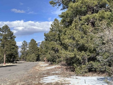 Don't miss this 1+ acre lot in Divide Ranch and Clubplete with a - photo 6