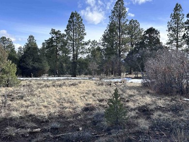 Don't miss this 1+ acre lot in Divide Ranch and Clubplete with a - photo 8