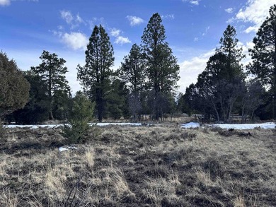 Don't miss this 1+ acre lot in Divide Ranch and Clubplete with a - photo 9