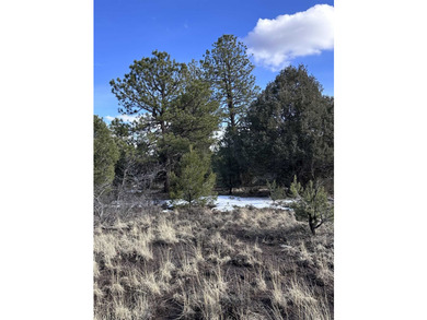 Don't miss this 1+ acre lot in Divide Ranch and Clubplete with a - photo 10