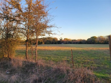 Lake Acreage For Sale in Payne Springs, Texas