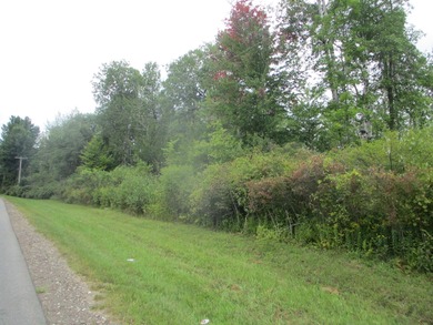 (private lake, pond, coastal) Acreage For Sale in Potsdam New York